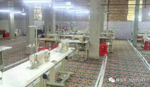 华清招聘 6月15日更新 超市 内衣厂等共7家