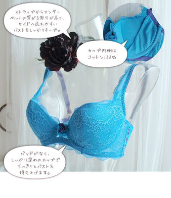 h-blue | 乐天海外销售: 升降机提高胸罩的惠特麝香玫瑰Sweet Musk RoseChasney Beautyチェスニー美Chasney Beauty