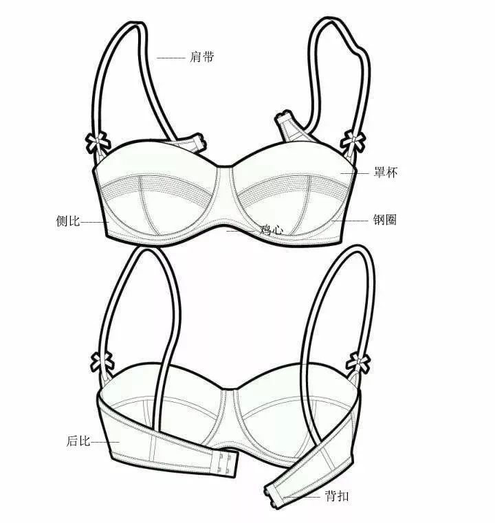 蝴蝶堂丨如何一眼判断内衣跟你的胸部匹配程度-大视野-.