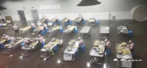 镇雄大山深处的工厂 工人8800多人 带动2689户增收 可实现销售收入4.5亿元