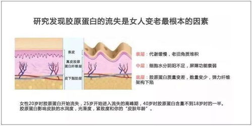爱美爱健康女性请注意 川沙胶原蛋白饮品工厂双11限量内购会，饮品0.5折起，内衣及配件超值热销